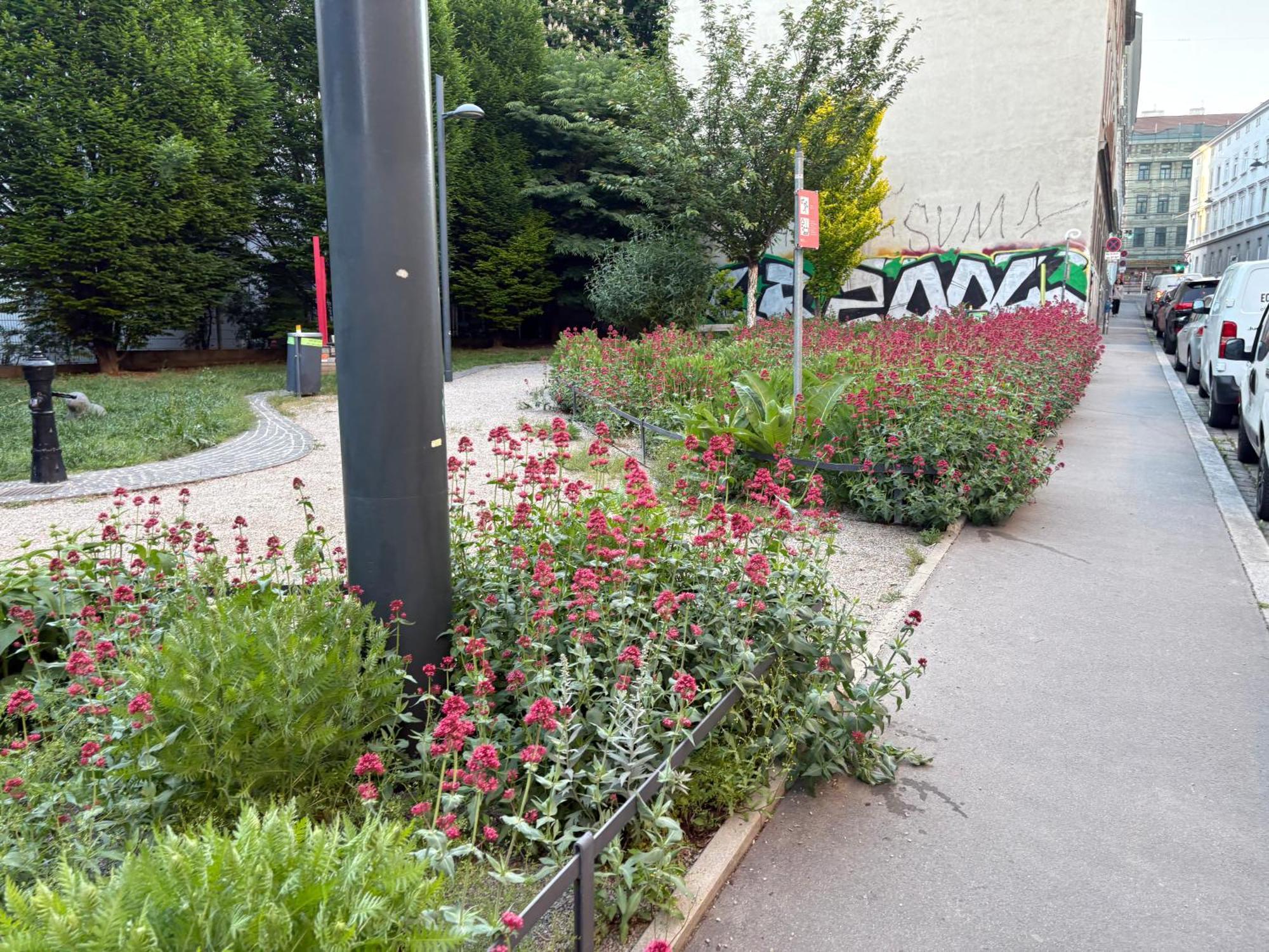 Apartment Modernes 60m2 Erdgeschoss Mit Gartenblick - Hundefreundlich Naehe Westbahnhof T5 Vienna